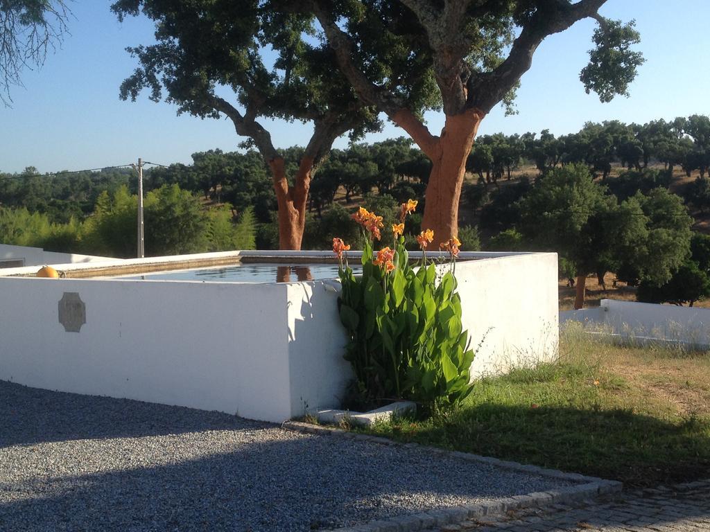 Monte Das Texugueiras - Adults Only מראה חיצוני תמונה