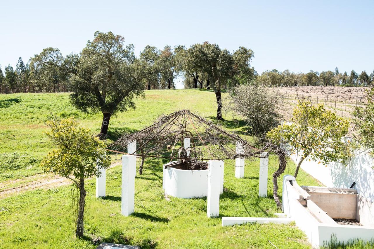 Monte Das Texugueiras - Adults Only מראה חיצוני תמונה